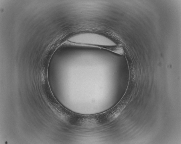 X0000072950644200608111627