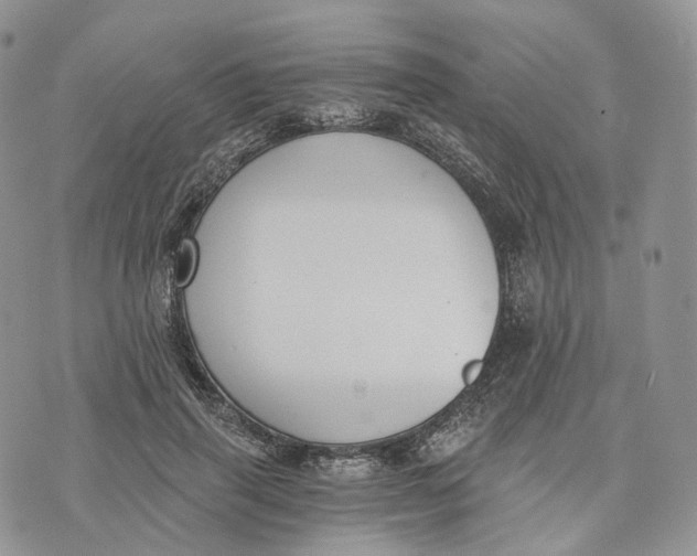 X0000072950645200608111627