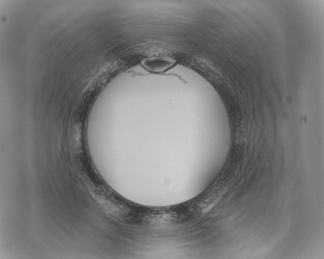 X0000072950646200608111627