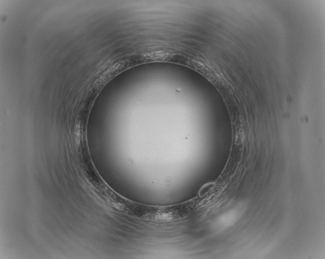 X0000072950647200608111627