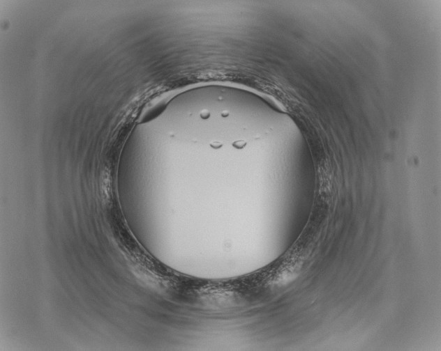 X0000072950648200608111627