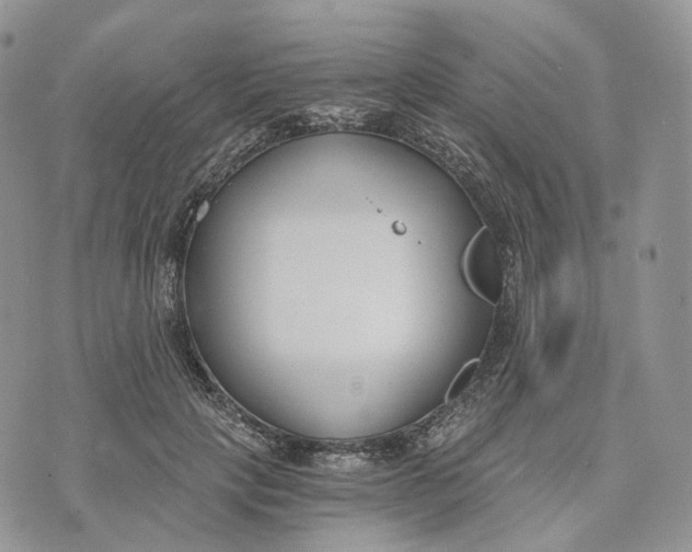 X0000072950649200608111627