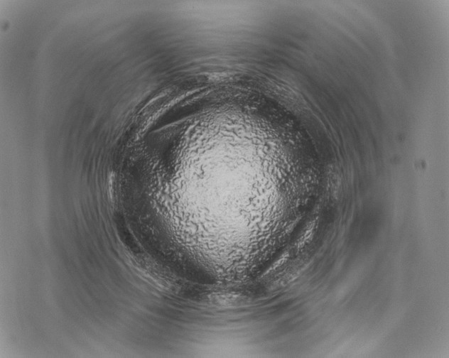 X0000072950650200608111627