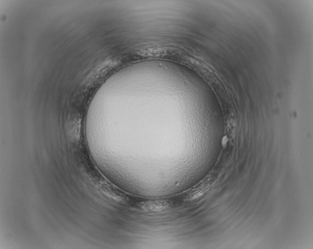 X0000072950652200608111627