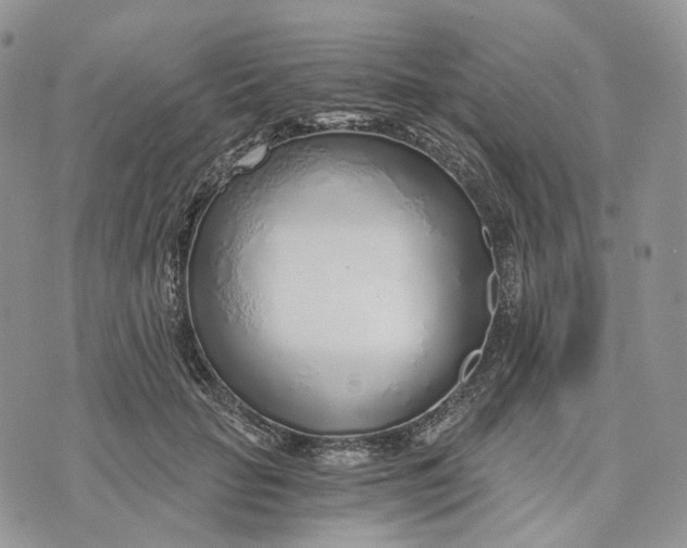 X0000072950653200608111627