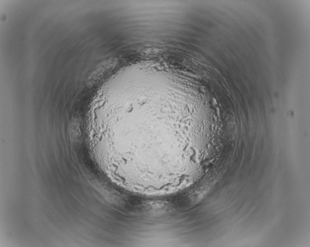 X0000072950654200608111627