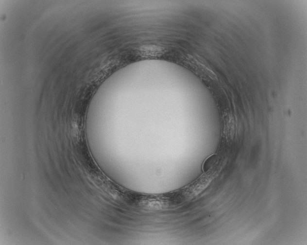 X0000072950655200608111627