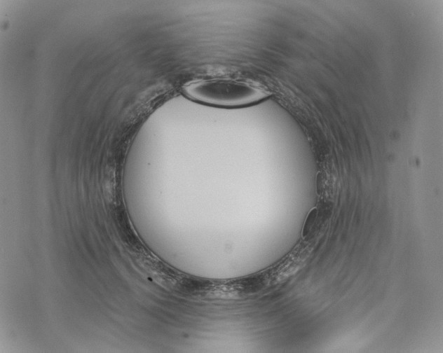 X0000072950656200608111627