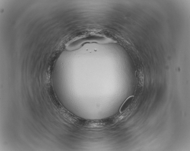 X0000072950657200608111627