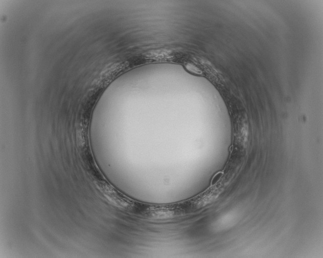 X0000072950658200608111627