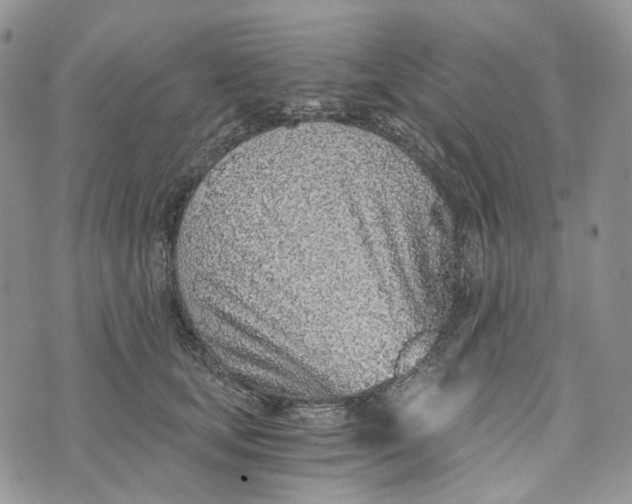 X0000072950659200608111627