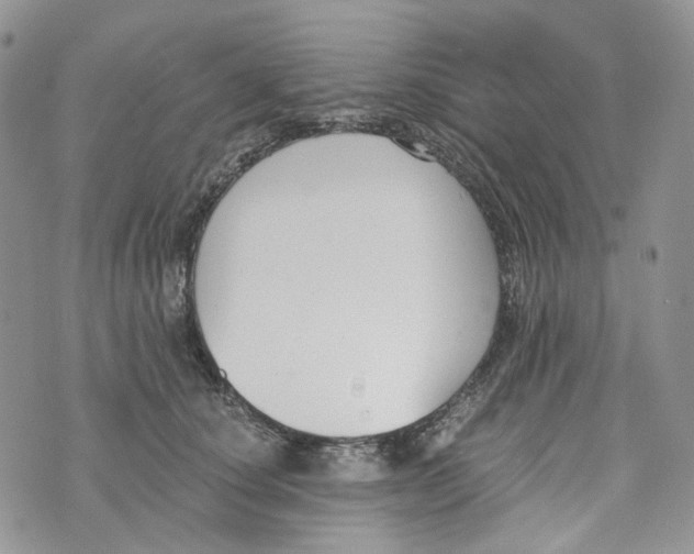 X0000072950660200608111627