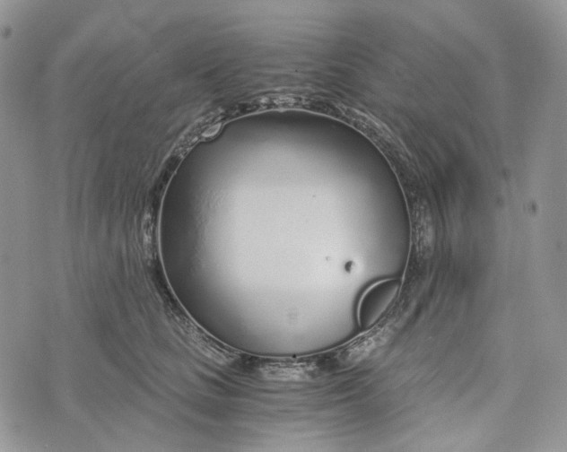 X0000072950661200608111627