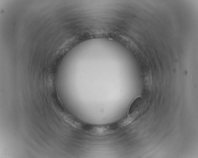 X0000072950662200608111627