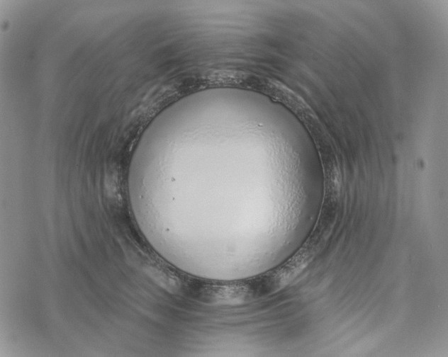 X0000072950663200608111627