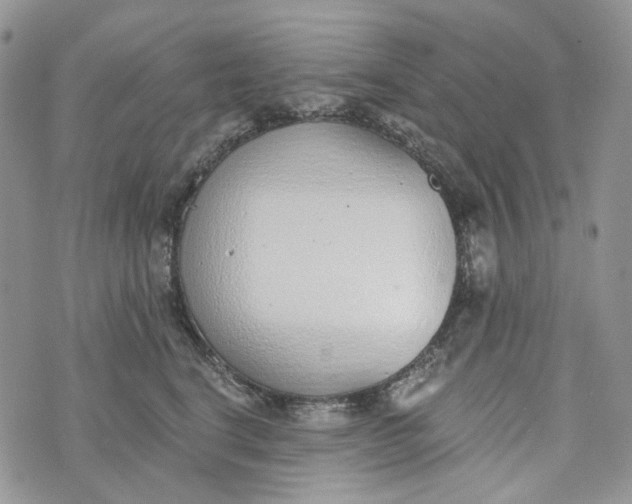 X0000072950664200608111627