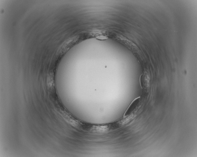 X0000072950665200608111627