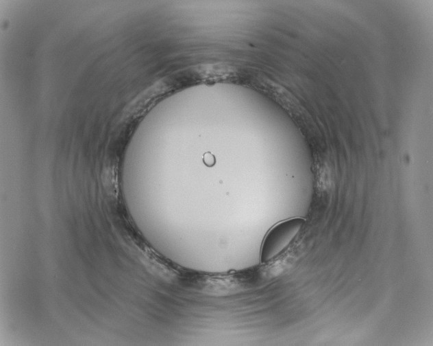 X0000072950666200608111627