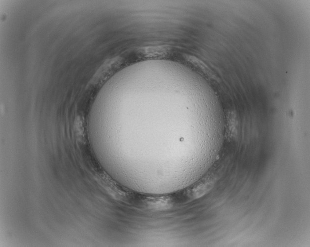 X0000072950667200608111627