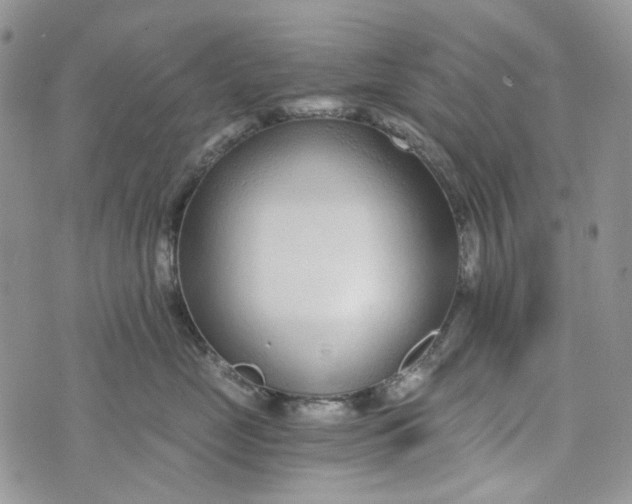 X0000072950669200608111627