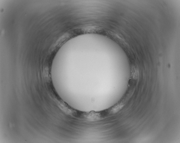 X0000072950670200608111627