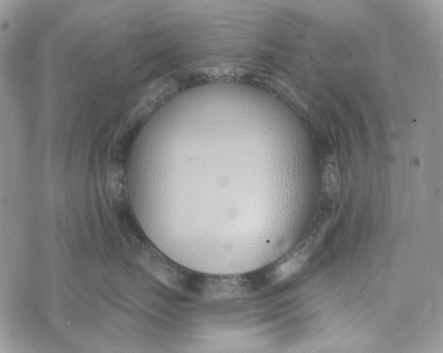 X0000072950671200608111627