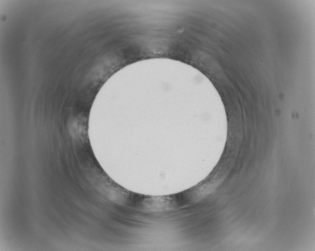 X0000072950672200608111627