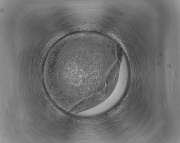 X0000072950673200608111626