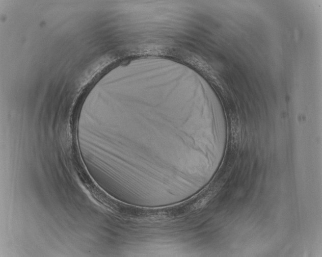 X0000072950674200608111626