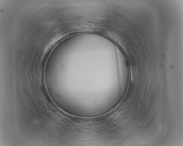 X0000072950675200608111626