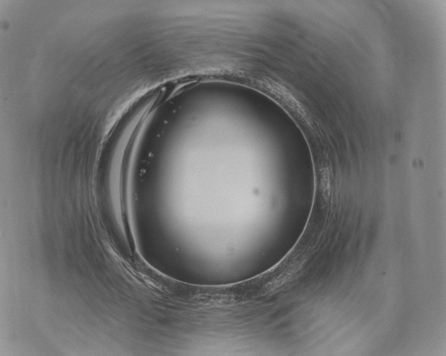 X0000072950676200608111626