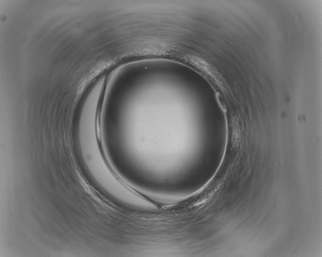 X0000072950677200608111626