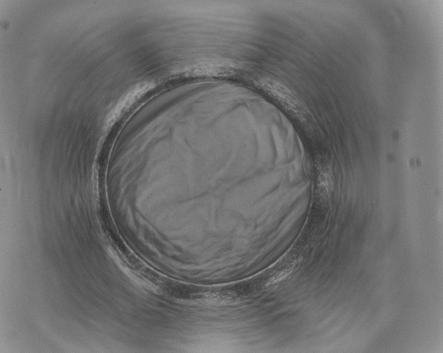 X0000072950678200608111626