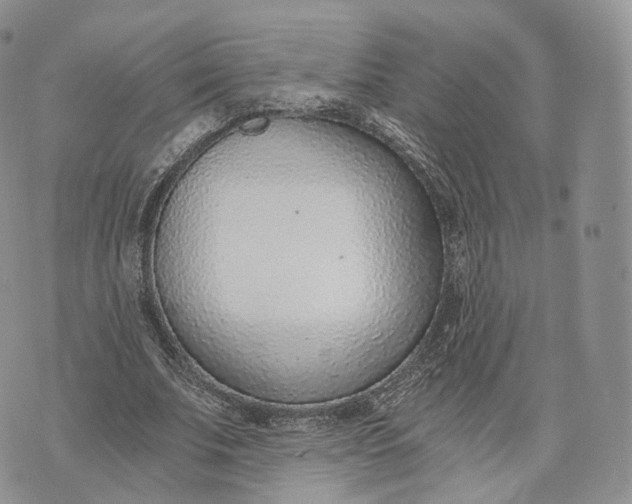 X0000072950679200608111626