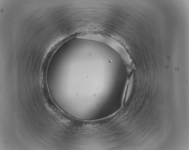 X0000072950680200608111626