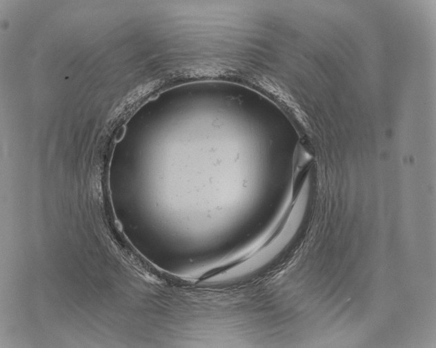 X0000072950681200608111626