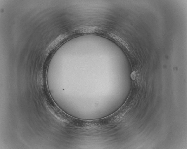 X0000072950682200608111626