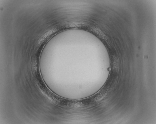 X0000072950683200608111626