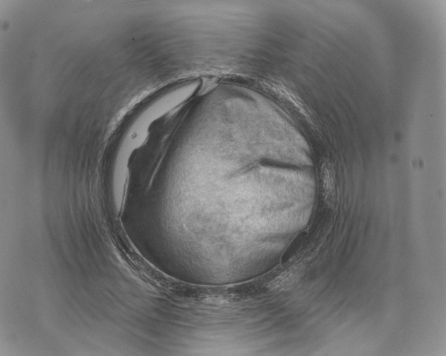 X0000072950684200608111626