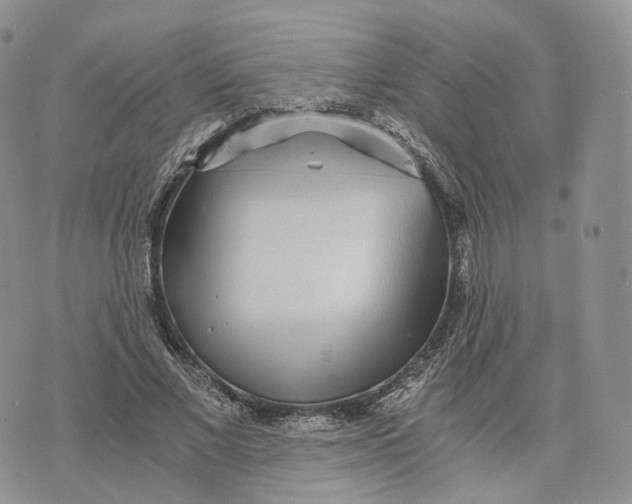 X0000072950685200608111626