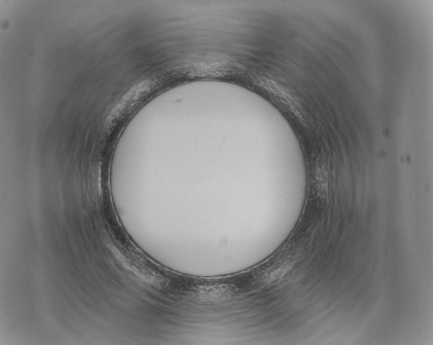 X0000072950686200608111626