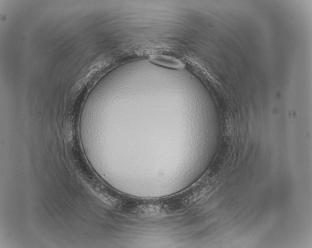 X0000072950687200608111626