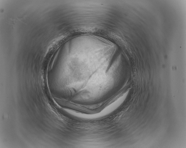 X0000072950688200608111626