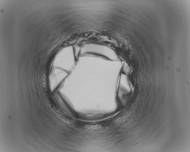 X0000072950689200608111626