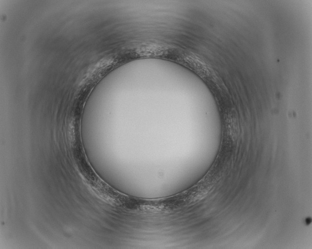 X0000072950690200608111626