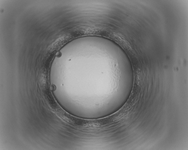 X0000072950691200608111626