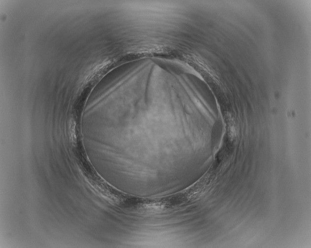 X0000072950692200608111626