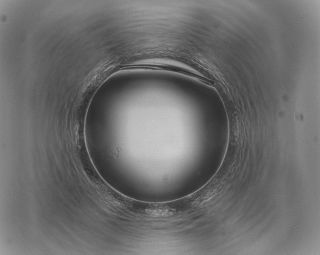 X0000072950693200608111626