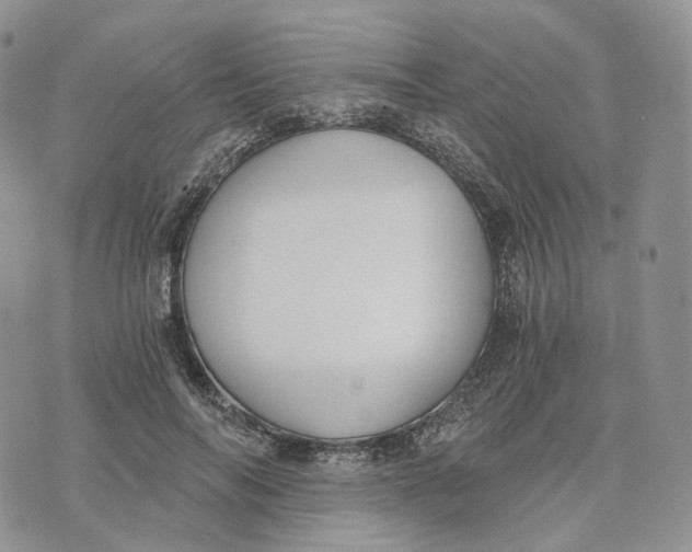 X0000072950694200608111626