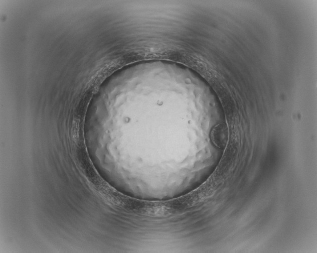 X0000072950695200608111626